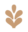 teeicon_beige